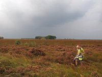 NL, Drenthe, Noordenveld, Fochteloerveen 14, Saxifraga-Hans Dekker